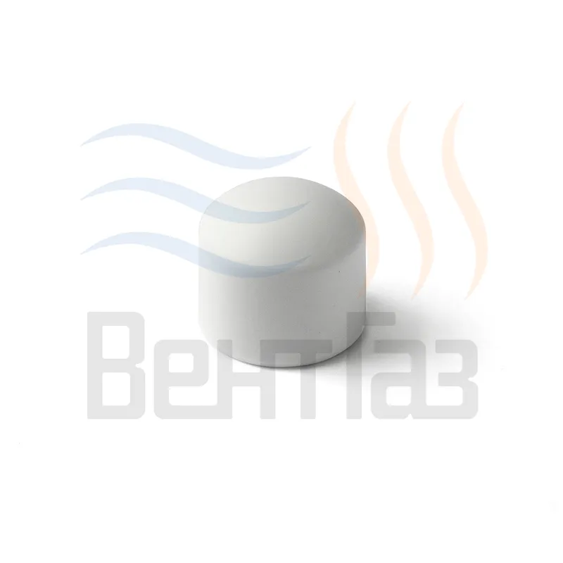 Заглушка  PRO AQUA полипропилен  20mm