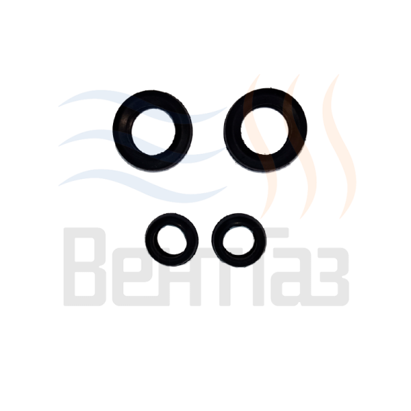 Комплект прокладок теплообменника ГВС для котлов Buderus Logamax (87167710030) AVG00053