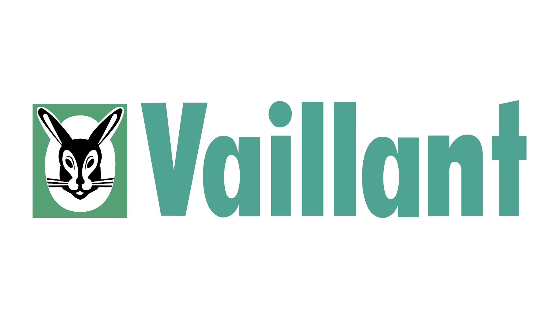 Vaillant Vaillant